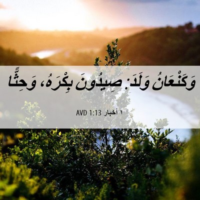 Picture 06 - ١ أخبار 1:13 AVD - وَكَنْعَانُ وَلَدَ: - Bible Verse Picture