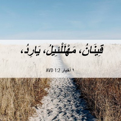 Picture 06 - ١ أخبار 1:2 AVD - قِينَانُ، مَهْلَلْئِيلُ، - Bible Verse Picture