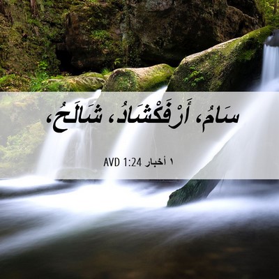 Picture 06 - ١ أخبار 1:24 AVD - سَامُ، أَرْفَكْشَادُ، - Bible Verse Picture