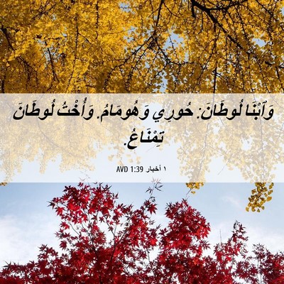 Picture 06 - ١ أخبار 1:39 AVD - وَٱبْنَا لُوطَانَ: حُورِي - Bible Verse Picture