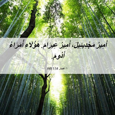 Picture 06 - ١ أخبار 1:54 AVD - أَمِيرُ مَجْدِيئِيلَ، - Bible Verse Picture