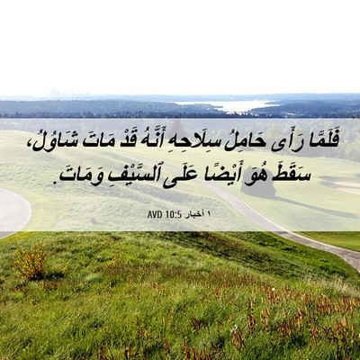 Picture 06 - ١ أخبار 10:5 AVD - فَلَمَّا رَأَى حَامِلُ - Bible Verse Picture
