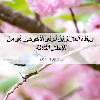 Picture 06 - ١ أخبار 11:12 AVD - وَبَعْدَهُ أَلِعَازَارُ - Bible Verse Picture