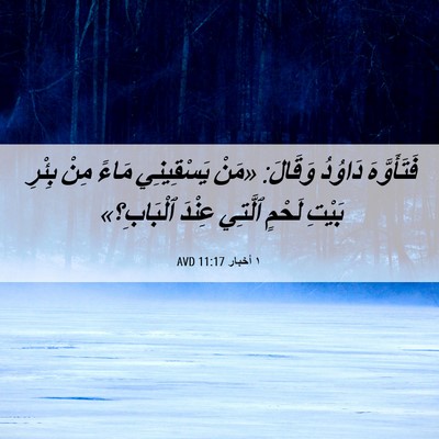 Picture 06 - ١ أخبار 11:17 AVD - فَتَأَوَّهَ دَاوُدُ - Bible Verse Picture
