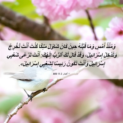 Picture 06 - ١ أخبار 11:2 AVD - وَمُنْذُ أَمْسِ وَمَا - Bible Verse Picture