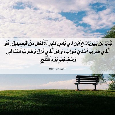 Picture 06 - ١ أخبار 11:22 AVD - بَنَايَا بْنُ - Bible Verse Picture
