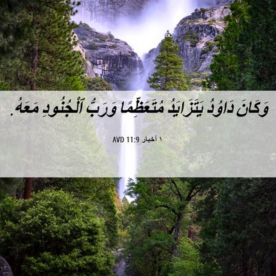 Picture 06 - ١ أخبار 11:9 AVD - وَكَانَ دَاوُدُ - Bible Verse Picture