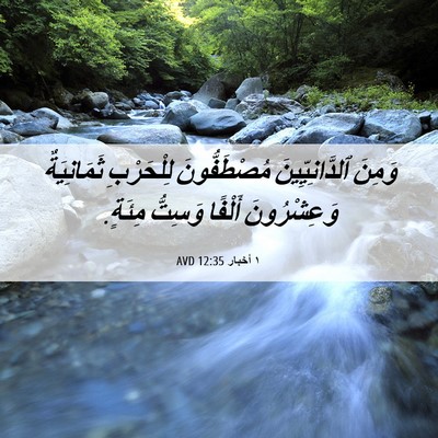 Picture 06 - ١ أخبار 12:35 AVD - وَمِنَ ٱلدَّانِيِّينَ - Bible Verse Picture