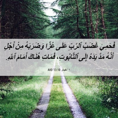 Picture 06 - ١ أخبار 13:10 AVD - فَحَمِيَ غَضَبُ ٱلرَّبِّ - Bible Verse Picture