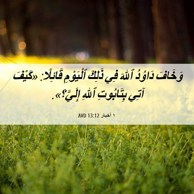 Picture 06 - ١ أخبار 13:12 AVD - وَخَافَ دَاوُدُ ٱللهَ فِي - Bible Verse Picture