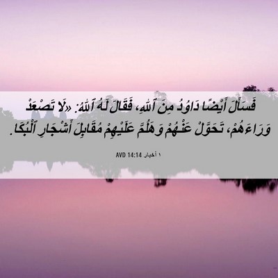 Picture 06 - ١ أخبار 14:14 AVD - فَسَأَلَ أَيْضًا دَاوُدُ - Bible Verse Picture