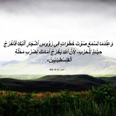 Picture 06 - ١ أخبار 14:15 AVD - وَعِنْدَمَا تَسْمَعُ - Bible Verse Picture