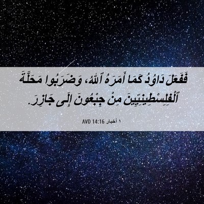 Picture 06 - ١ أخبار 14:16 AVD - فَفَعَلَ دَاوُدُ كَمَا - Bible Verse Picture
