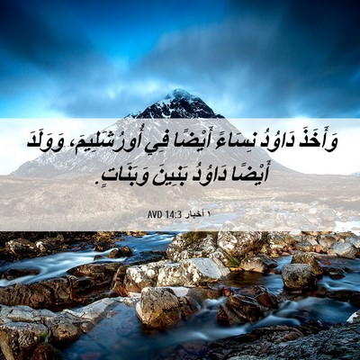 Picture 06 - ١ أخبار 14:3 AVD - وَأَخَذَ دَاوُدُ نِسَاءً - Bible Verse Picture