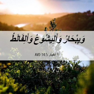 Picture 06 - ١ أخبار 14:5 AVD - وَيِبْحَارُ وَأَلِيشُوعُ - Bible Verse Picture