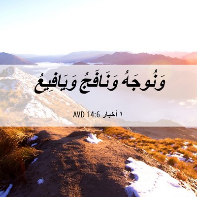 Picture 06 - ١ أخبار 14:6 AVD - وَنُوجَهُ وَنَافَجُ - Bible Verse Picture