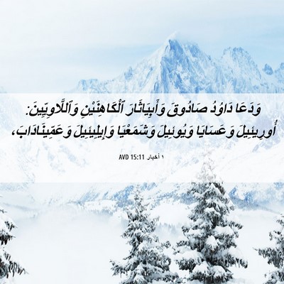 Picture 06 - ١ أخبار 15:11 AVD - وَدَعَا دَاوُدُ صَادُوقَ - Bible Verse Picture