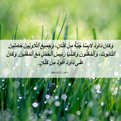 Picture 06 - ١ أخبار 15:27 AVD - وَكَانَ دَاوُدُ لَابِسًا - Bible Verse Picture