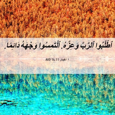 Picture 06 - ١ أخبار 16:11 AVD - ٱطْلُبُوا ٱلرَّبَّ - Bible Verse Picture