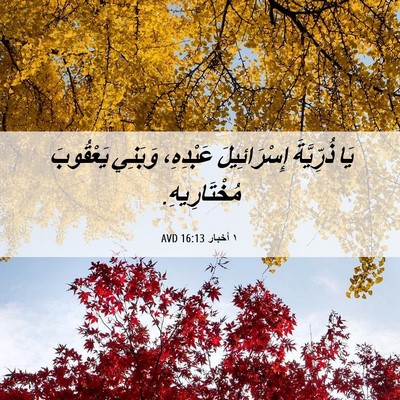 Picture 06 - ١ أخبار 16:13 AVD - يَا ذُرِّيَّةَ - Bible Verse Picture