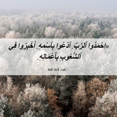 Picture 06 - ١ أخبار 16:8 AVD - «اِحْمَدُوا ٱلرَّبَّ. - Bible Verse Picture