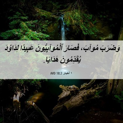 Picture 06 - ١ أخبار 18:2 AVD - وَضَرَبَ مُوآبَ، فَصَارَ - Bible Verse Picture