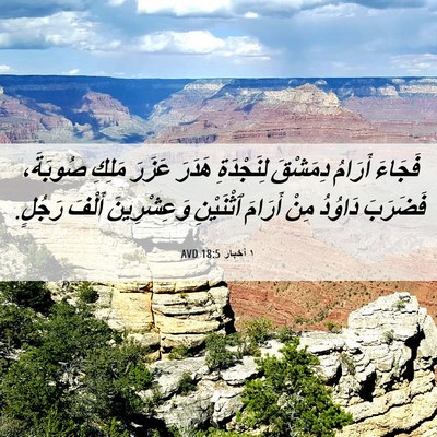 Picture 06 - ١ أخبار 18:5 AVD - فَجَاءَ أَرَامُ دِمَشْقَ - Bible Verse Picture