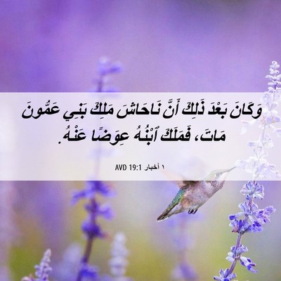 Picture 06 - ١ أخبار 19:1 AVD - وَكَانَ بَعْدَ ذَلِكَ - Bible Verse Picture