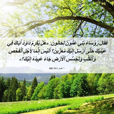 Picture 06 - ١ أخبار 19:3 AVD - فَقَالَ رُؤَسَاءُ بَنِي - Bible Verse Picture