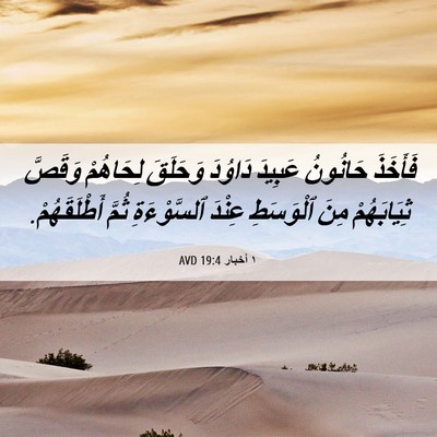 Picture 06 - ١ أخبار 19:4 AVD - فَأَخَذَ حَانُونُ عَبِيدَ - Bible Verse Picture