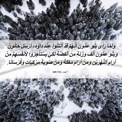 Picture 06 - ١ أخبار 19:6 AVD - وَلَمَّا رَأَى بَنُو - Bible Verse Picture