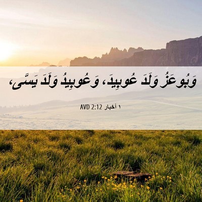 Picture 06 - ١ أخبار 2:12 AVD - وَبُوعَزُ وَلَدَ - Bible Verse Picture