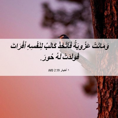Picture 06 - ١ أخبار 2:19 AVD - وَمَاتَتْ عَزُوبَةُ - Bible Verse Picture