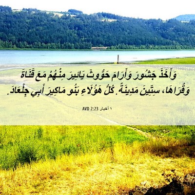 Picture 06 - ١ أخبار 2:23 AVD - وَأَخَذَ جَشُورَ - Bible Verse Picture