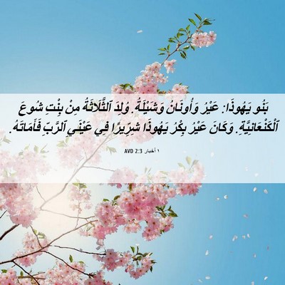 Picture 06 - ١ أخبار 2:3 AVD - بَنُو يَهُوذَا: عَيْرُ - Bible Verse Picture