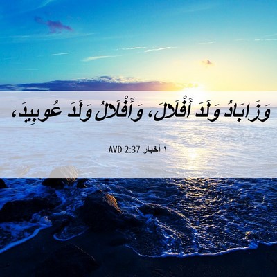 Picture 06 - ١ أخبار 2:37 AVD - وَزَابَادُ وَلَدَ - Bible Verse Picture