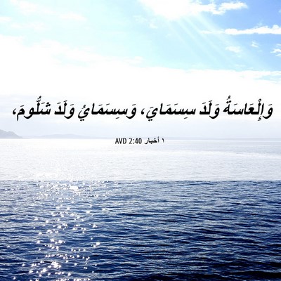 Picture 06 - ١ أخبار 2:40 AVD - وَإِلْعَاسَةُ وَلَدَ - Bible Verse Picture