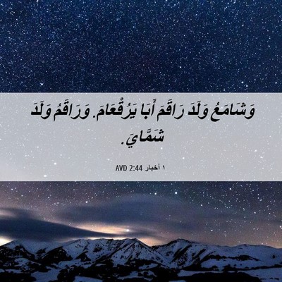 Picture 06 - ١ أخبار 2:44 AVD - وَشَامَعُ وَلَدَ رَاقَمَ - Bible Verse Picture