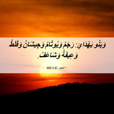 Picture 06 - ١ أخبار 2:47 AVD - وَبَنُو يَهْدَايَ: رَجَمُ - Bible Verse Picture