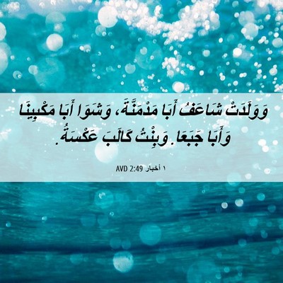 Picture 06 - ١ أخبار 2:49 AVD - وَوَلَدَتْ شَاعَفُ أَبَا - Bible Verse Picture