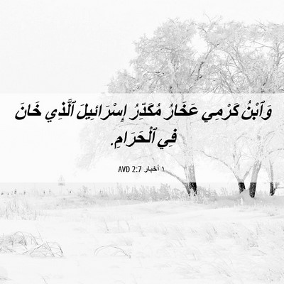 Picture 06 - ١ أخبار 2:7 AVD - وَٱبْنُ كَرْمِي عَخَارُ - Bible Verse Picture