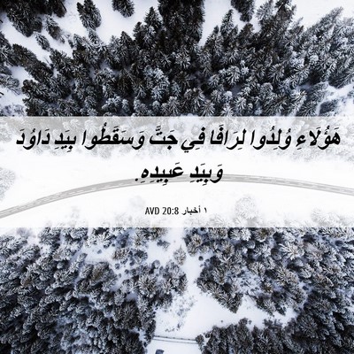 Picture 06 - ١ أخبار 20:8 AVD - هَؤُلَاءِ وُلِدُوا - Bible Verse Picture