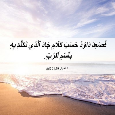 Picture 06 - ١ أخبار 21:19 AVD - فَصَعِدَ دَاوُدُ حَسَبَ - Bible Verse Picture
