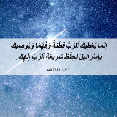 Picture 06 - ١ أخبار 22:12 AVD - إِنَّمَا يُعْطِيكَ - Bible Verse Picture