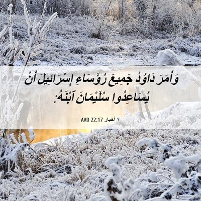 Picture 06 - ١ أخبار 22:17 AVD - وَأَمَرَ دَاوُدُ جَمِيعَ - Bible Verse Picture