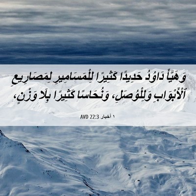 Picture 06 - ١ أخبار 22:3 AVD - وَهَيَّأَ دَاوُدُ - Bible Verse Picture