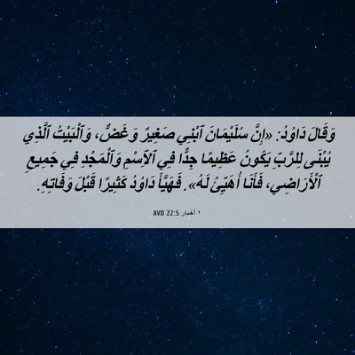Picture 06 - ١ أخبار 22:5 AVD - وَقَالَ دَاوُدُ: «إِنَّ - Bible Verse Picture