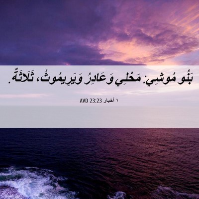 Picture 06 - ١ أخبار 23:23 AVD - بَنُو مُوشِي: مَحْلِي - Bible Verse Picture
