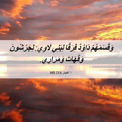 Picture 06 - ١ أخبار 23:6 AVD - وَقَسَمَهُمْ دَاوُدُ - Bible Verse Picture