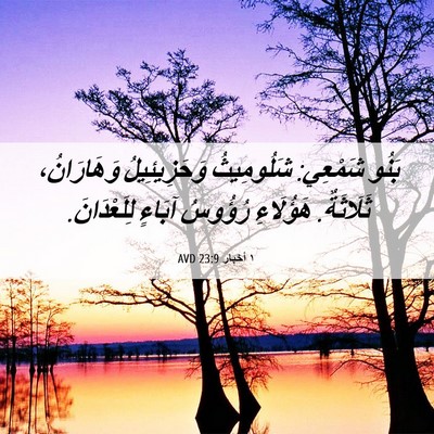 Picture 06 - ١ أخبار 23:9 AVD - بَنُو شَمْعِي: شَلُومِيثُ - Bible Verse Picture